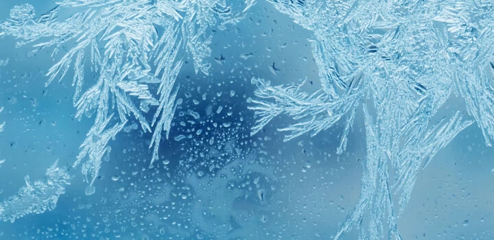 Black Friday Save Up To 50% Off